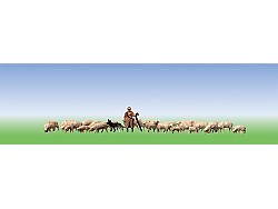 Pastýř + ovečky