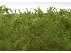 Vysoká tráva - Zelená střední