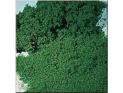 Jemná pěnová hmota v barvě listové zeleně