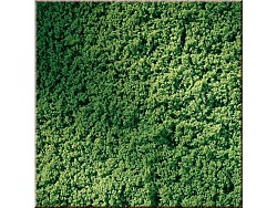Travnatý koberec světle zelené barvy