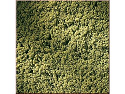Travnatý koberec v barvě jarní zeleně
