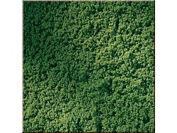 Travnatý koberec listová zeleň