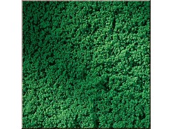 Travnatý koberec tmavě zelený