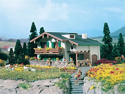 Alpský dům