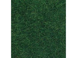 Tmavozelená divoká tráva (50g)