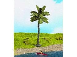 Palma datlová 15 cm vysoká - 1 ks