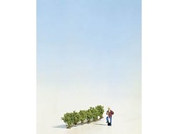 Vinná réva 2 cm vysoká - sada 6 ks