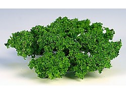 Keř (průměr koruny cca 6 cm) 