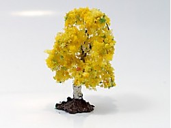Bříza pf podzimní (výška cca 4 cm)