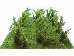 Vysoké keře - jemné listí - zelený mix