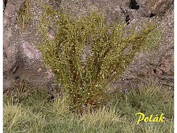 Vysoké keře - mikro listí - zelená savana 