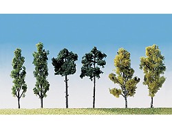 Sada - Listnaté stromy 6 ks