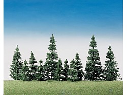 Sada - Jehličnaté stromy , 40 ks