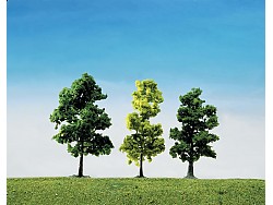 Sada - Listnaté stromy 15 ks