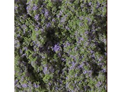 Květinový koberec - fialový